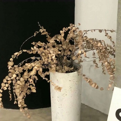 兽设毛发质感表现FurryQQ群